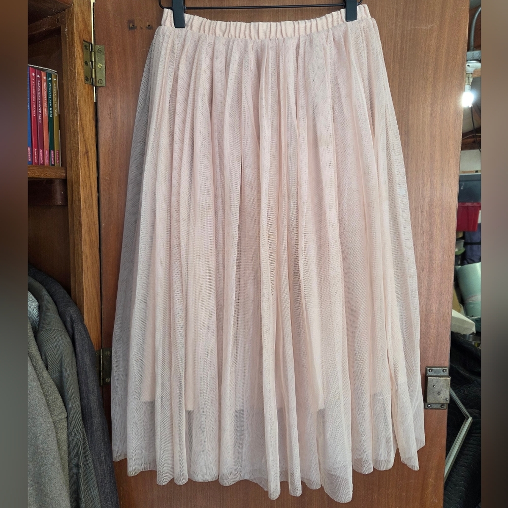 Mossimo Skirt